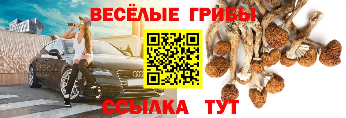 Галлюциногенные грибы мухоморы  Вход с VPN  Ноябрьск 